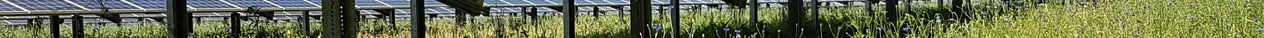 The Cottbus-based project development company Procon Solar GmbH is transferring well-developed solar projects with a capacity of around 400 megawatts to the southern German energy supplier Energie Baden-Württemberg AG with the option of further projects with another 400 MW.
